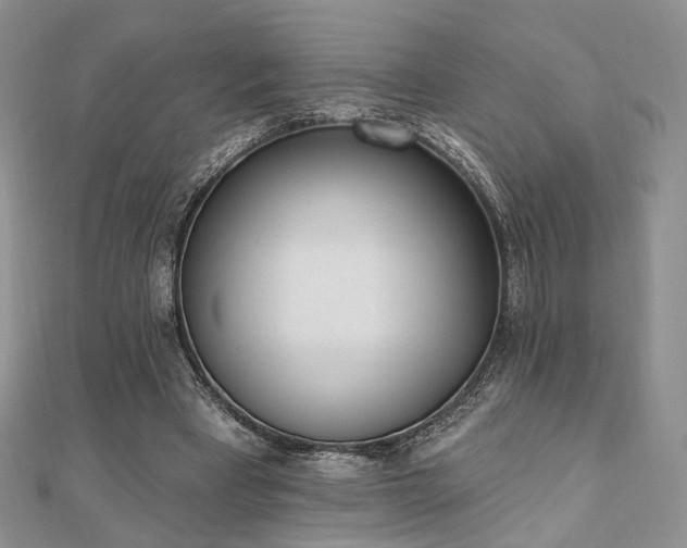 X0000110740393200906151108