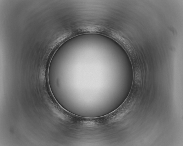 X0000110740394200906151108