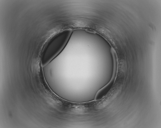 X0000110740395200906151108