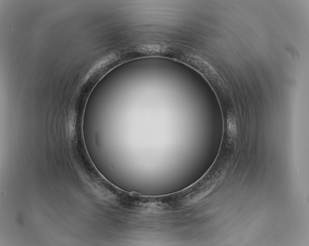 X0000110740396200906151108