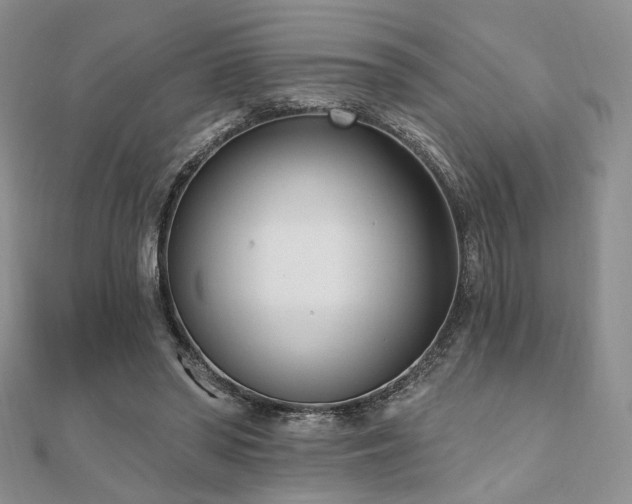 X0000110740398200906151108