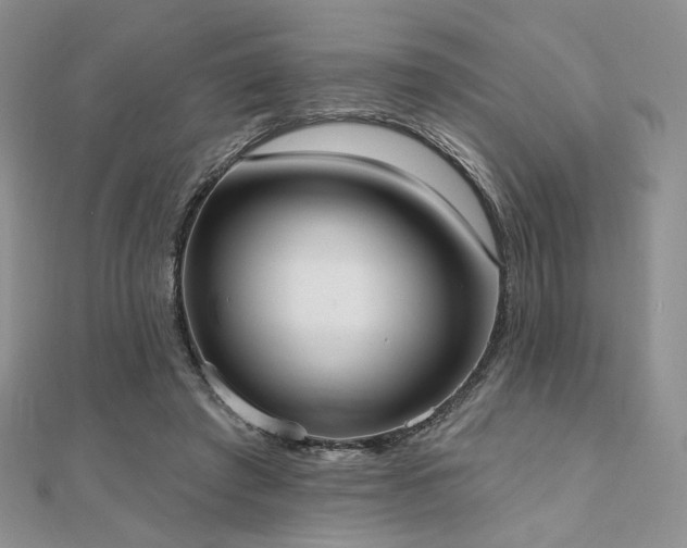X0000110740401200906151108