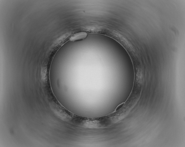 X0000110740403200906151108