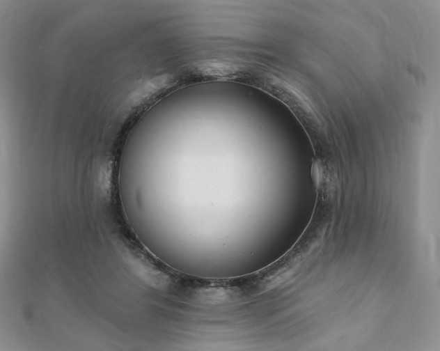 X0000110740404200906151108