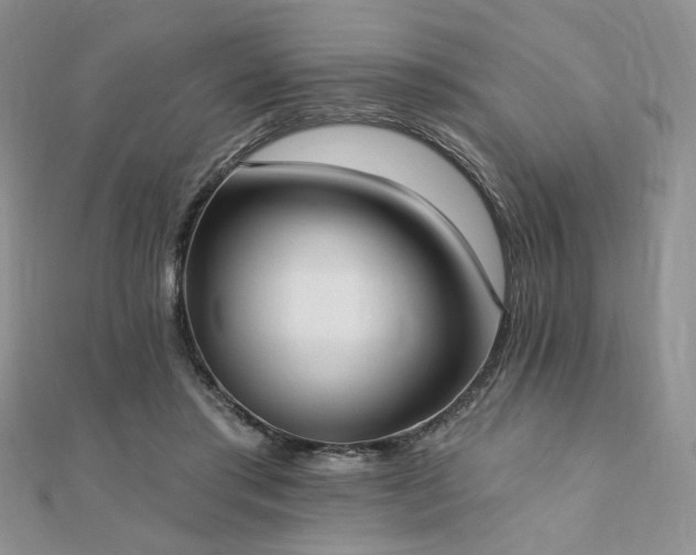 X0000110740405200906151108