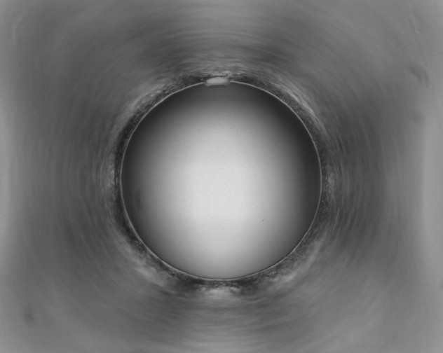 X0000110740407200906151108