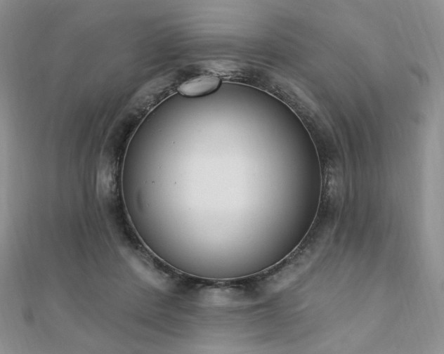 X0000110740408200906151108