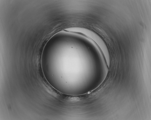 X0000110740409200906151108