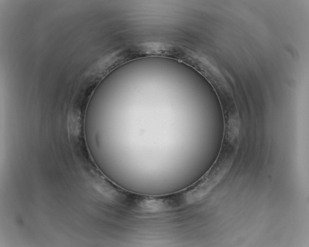 X0000110740413200906151108