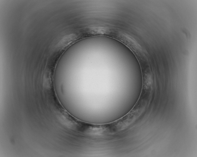 X0000110740414200906151108