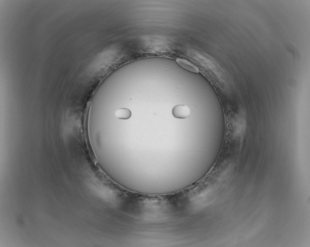 X0000110740415200906151108