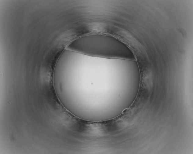 X0000110740417200906151108