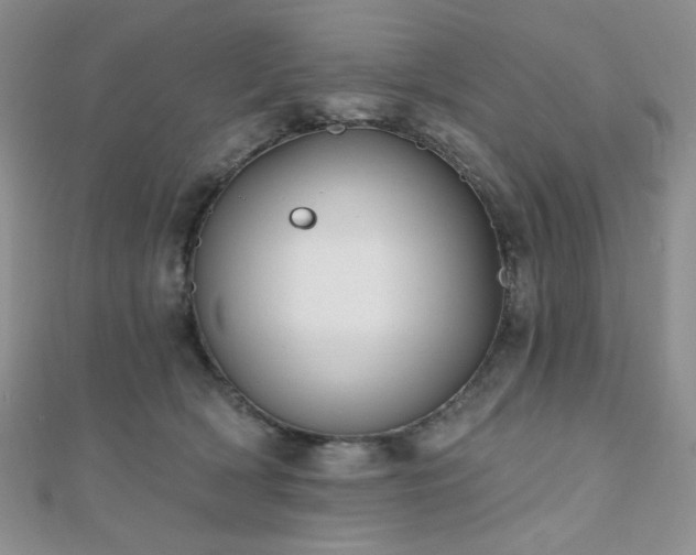 X0000110740418200906151107