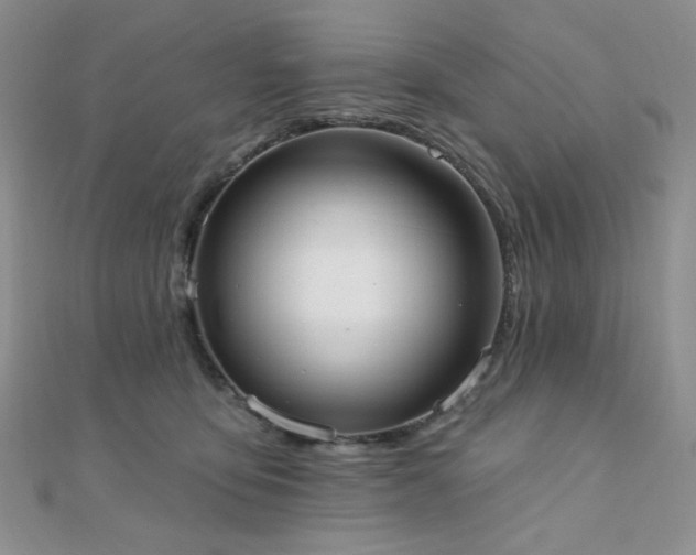 X0000110740419200906151107