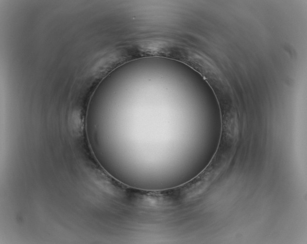 X0000110740420200906151107
