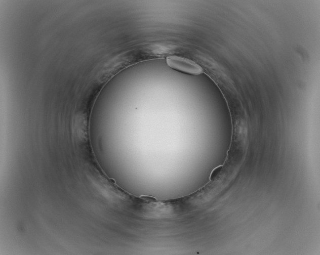 X0000110740421200906151107