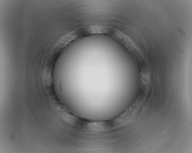 X0000110740422200906151107
