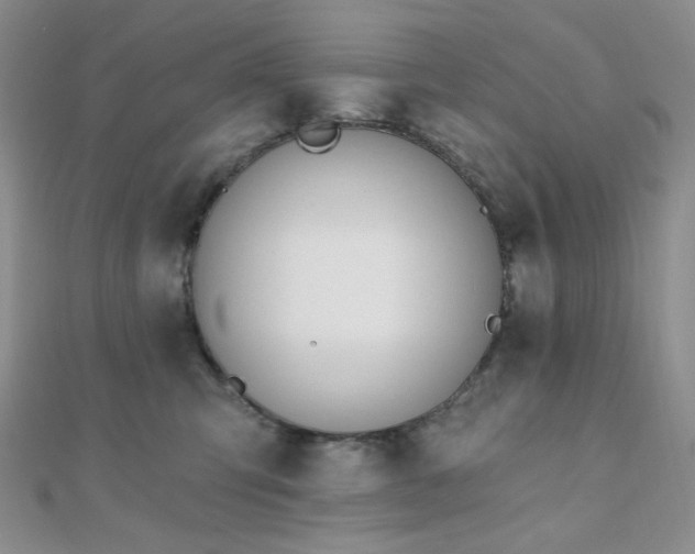 X0000110740423200906151107
