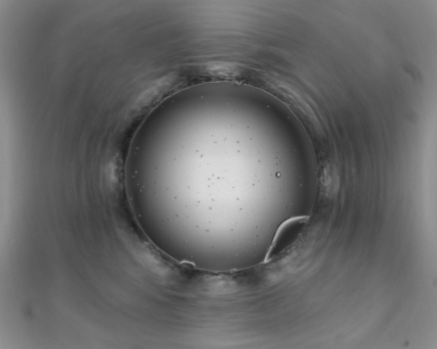 X0000110740424200906151107