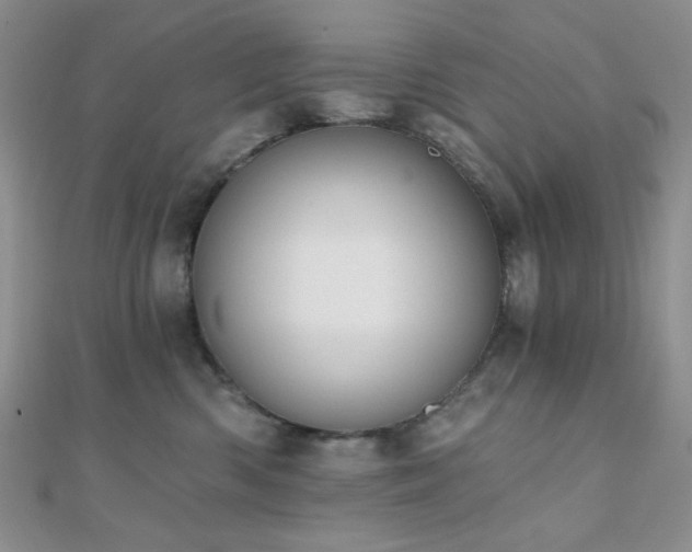 X0000110740426200906151107