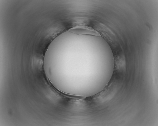 X0000110740427200906151107
