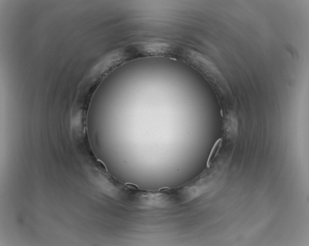 X0000110740428200906151107