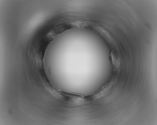 X0000110740429200906151107
