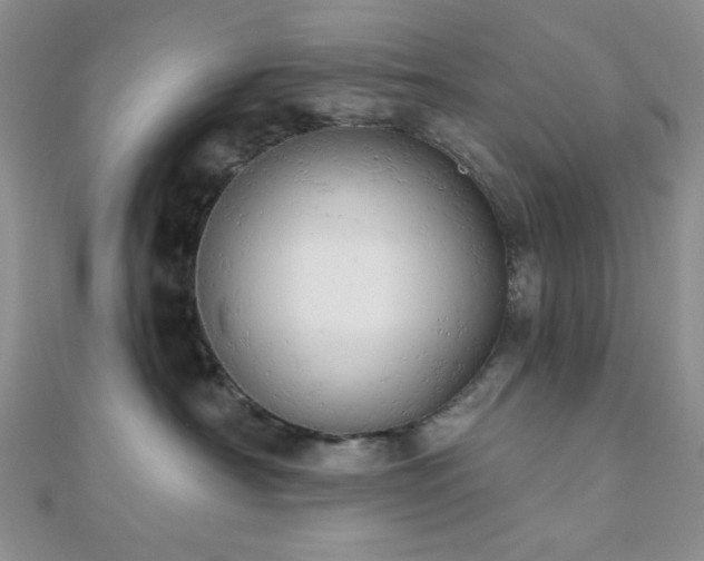 X0000110740430200906151107
