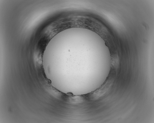 X0000110740431200906151107
