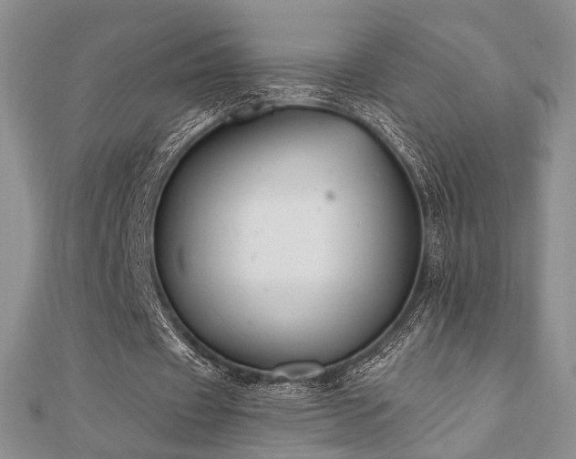 X0000110740433200906151107