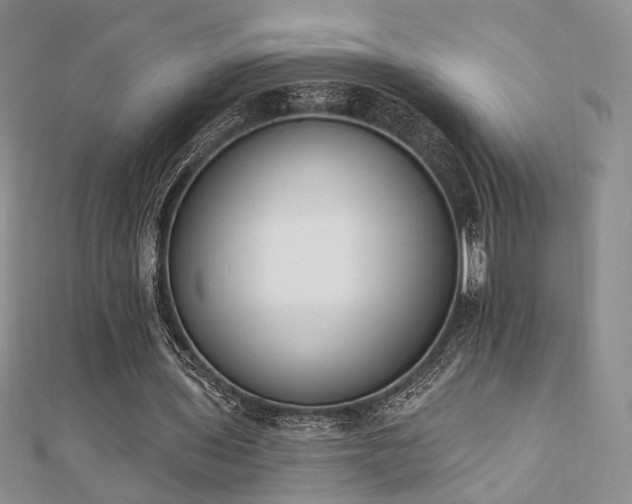 X0000110740435200906151107