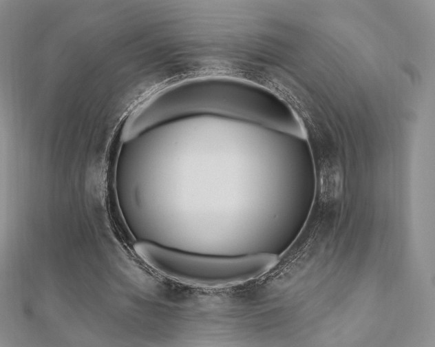 X0000110740436200906151107