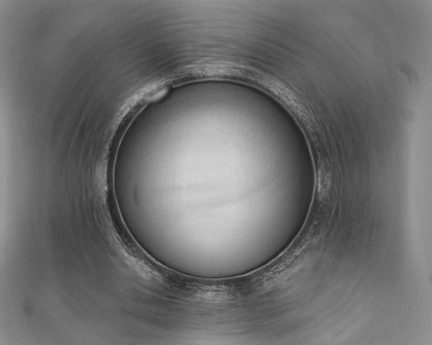 X0000110740438200906151107