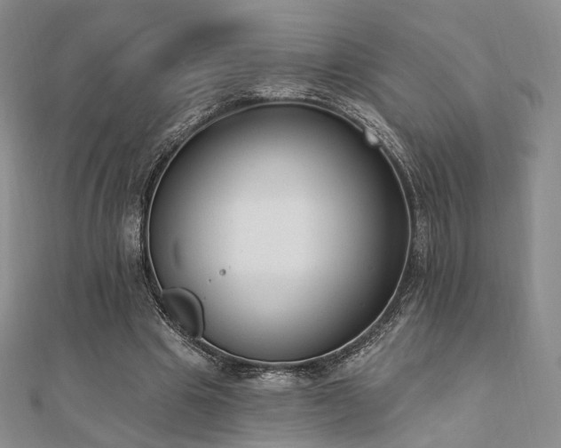 X0000110740441200906151107