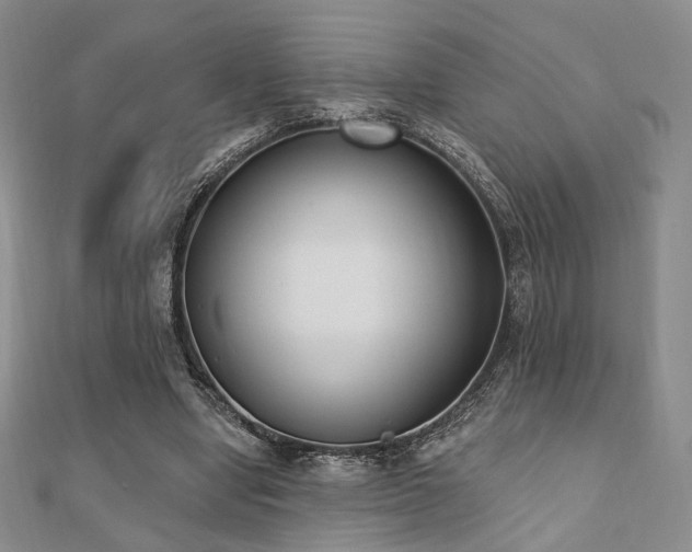 X0000110740442200906151107