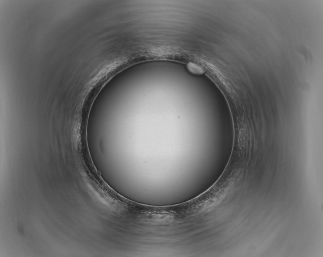 X0000110740443200906151107