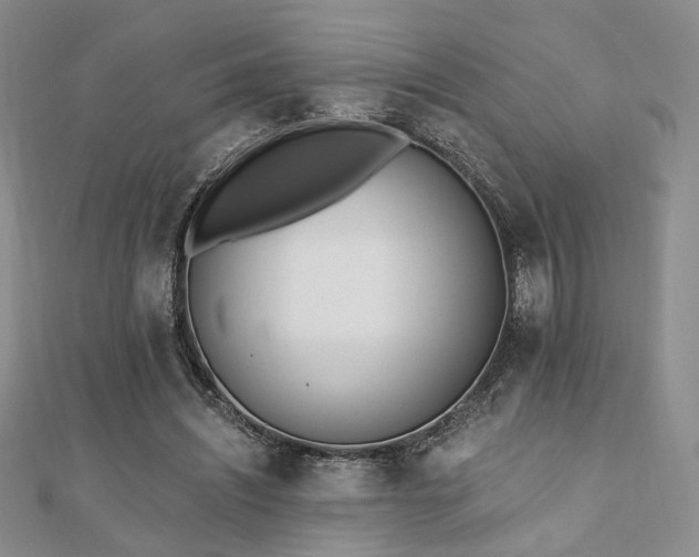 X0000110740444200906151107