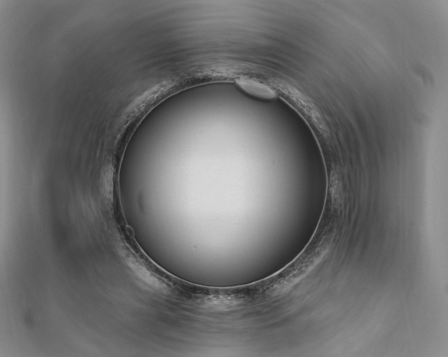 X0000110740445200906151107