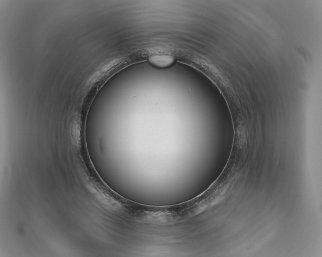 X0000110740446200906151107