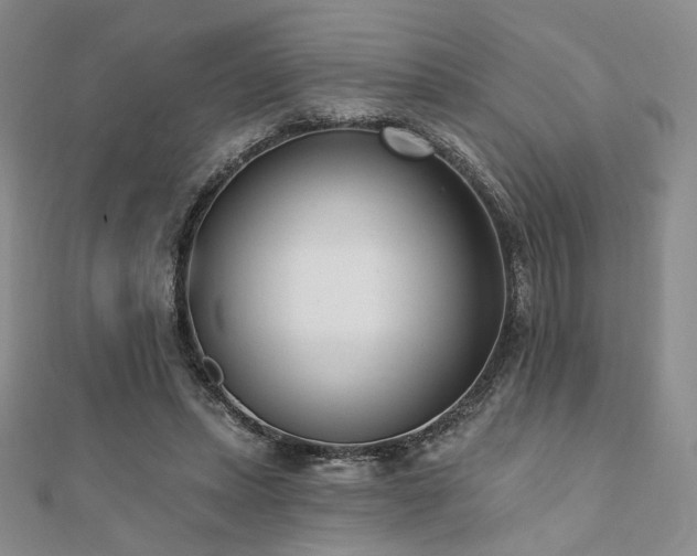 X0000110740447200906151107
