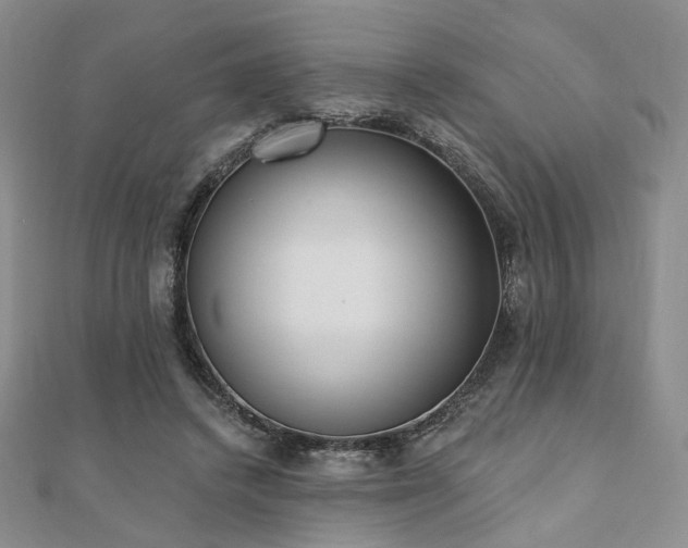 X0000110740448200906151107