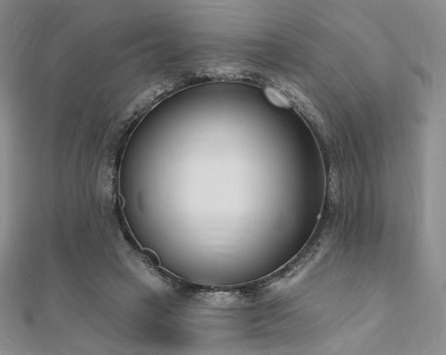 X0000110740449200906151107