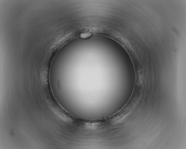 X0000110740450200906151107