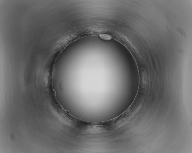 X0000110740451200906151107