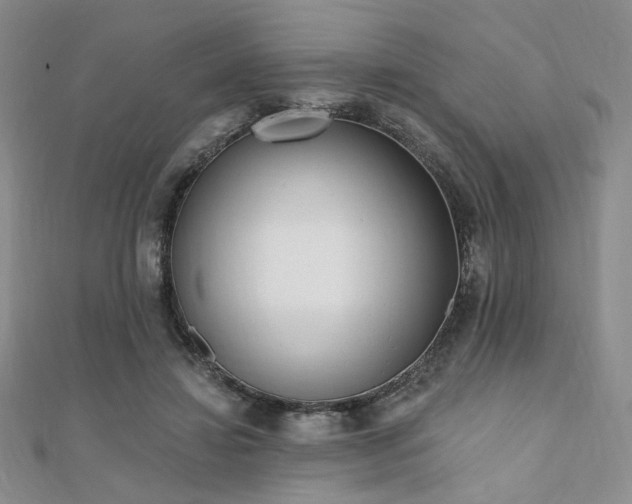 X0000110740452200906151107