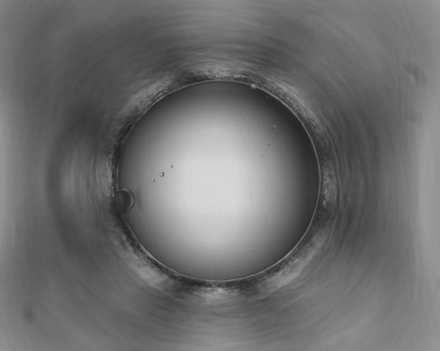 X0000110740453200906151107