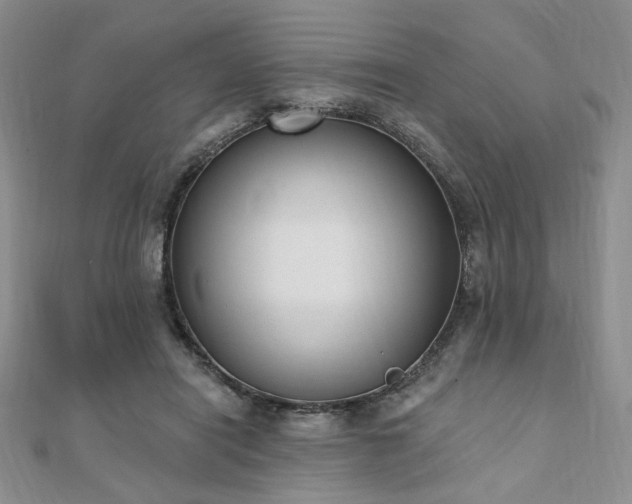 X0000110740454200906151107