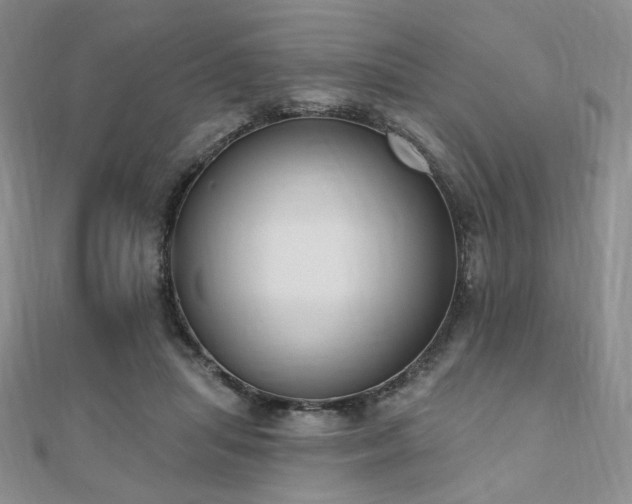 X0000110740455200906151107