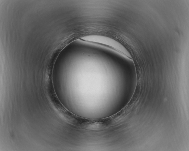 X0000110740456200906151107