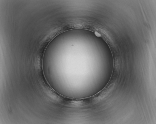 X0000110740457200906151107
